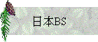 饻BS