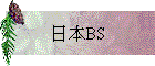 饻BS