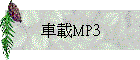 MP3