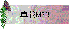 MP3